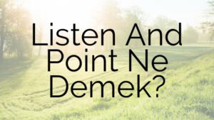 Listen And Point Ne Demek?
