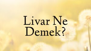 Livar Ne Demek?