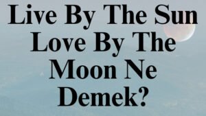 Live By The Sun Love By The Moon Ne Demek?