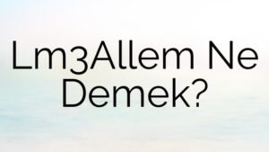 Lm3Allem Ne Demek?