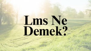 Lms Ne Demek?