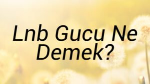 Lnb Gucu Ne Demek?
