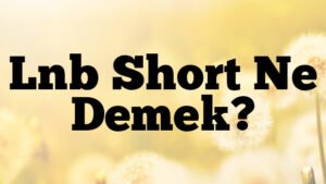 Lnb Short Ne Demek?