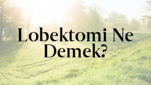 Lobektomi Ne Demek?