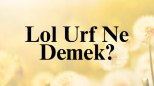 Lol Urf Ne Demek?