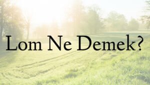 Lom Ne Demek?