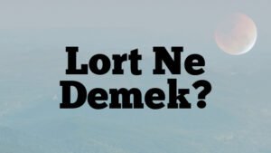 Lort Ne Demek?