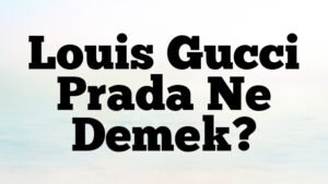 Louis Gucci Prada Ne Demek?