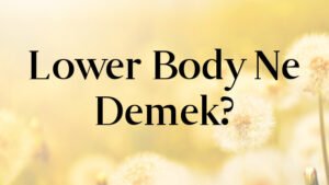 Lower Body Ne Demek?