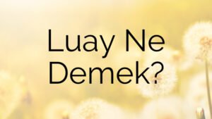 Luay Ne Demek?