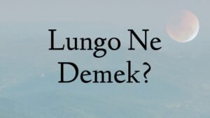 Lungo Ne Demek?