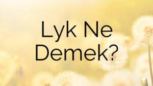 Lyk Ne Demek?