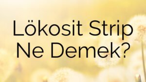 Lökosit Strip Ne Demek?