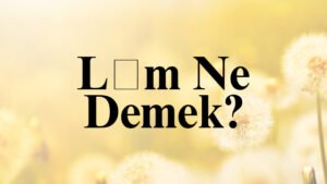 Lüm Ne Demek?