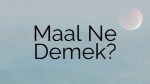 Maal Ne Demek?