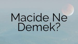 Macide Ne Demek?