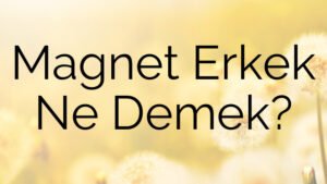 Magnet Erkek Ne Demek?