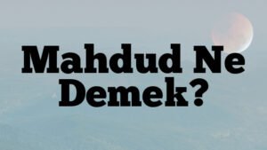 Mahdud Ne Demek?