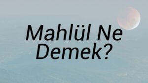 Mahlül Ne Demek?