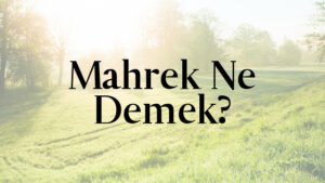 Mahrek Ne Demek?