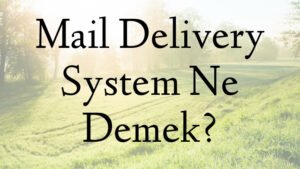 Mail Delivery System Ne Demek?