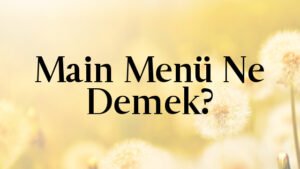 Main Menü Ne Demek?