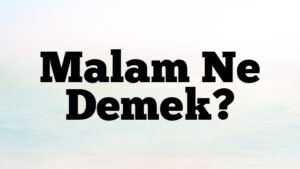 Malam Ne Demek?