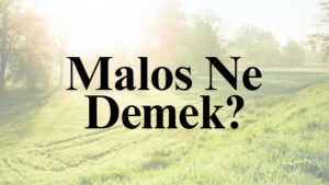 Malos Ne Demek?