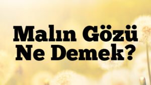 Malın Gözü Ne Demek?