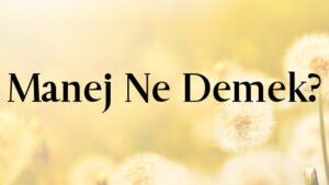 Manej Ne Demek?