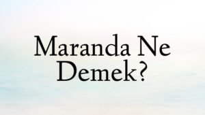Maranda Ne Demek?