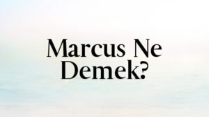 Marcus Ne Demek?