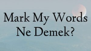 Mark My Words Ne Demek?