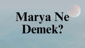 Marya Ne Demek?