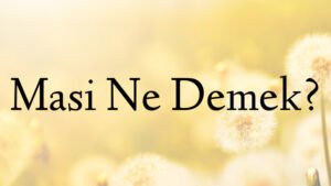 Masi Ne Demek?