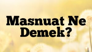Masnuat Ne Demek?