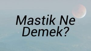 Mastik Ne Demek?