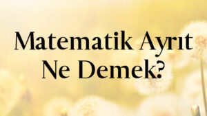 Matematik Ayrıt Ne Demek?