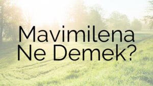 Mavimilena Ne Demek?