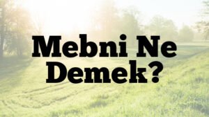 Mebni Ne Demek?