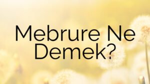 Mebrure Ne Demek?