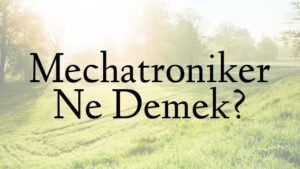 Mechatroniker Ne Demek?