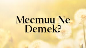 Mecmuu Ne Demek?