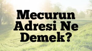 Mecurun Adresi Ne Demek?