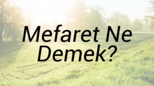 Mefaret Ne Demek?
