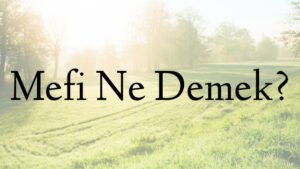 Mefi Ne Demek?