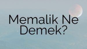 Memalik Ne Demek?