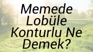 Memede Lobüle Konturlu Ne Demek?