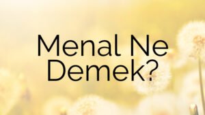 Menal Ne Demek?