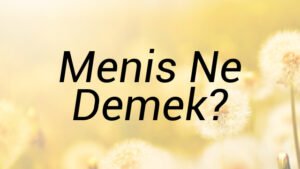 Menis Ne Demek?